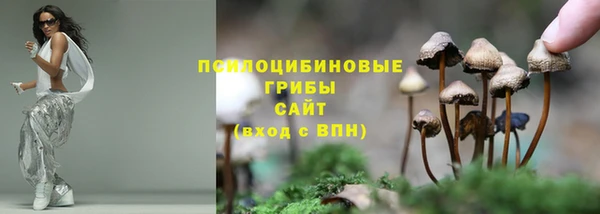 трава Аркадак
