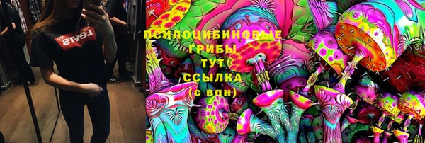 крисы Арсеньев