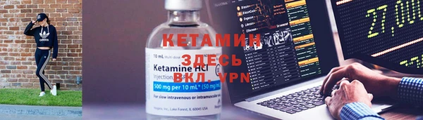 трава Аркадак