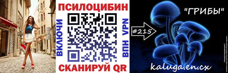 купить  сайты  MEGA онион  Галлюциногенные грибы Psilocybine cubensis  Новый Оскол 